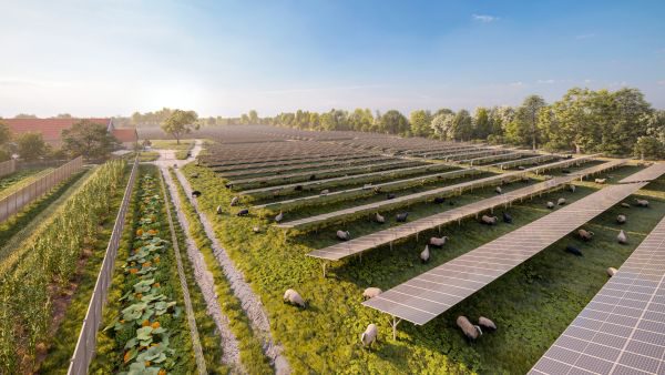 Ve Vídni vznikne největší fotovoltaická elektrárna v Rakousku