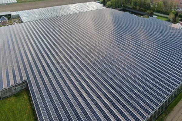 Česká firma dokončila stavbu obřího fotovoltaického skleníku v Holandsku