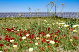 200 GWh: Největší solární virtuální PPA dohoda v Evropě pomůže dekarbonizovat Česko