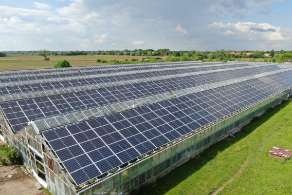 Po expanzi v zahraničí se GreenBuddies vrací na český fotovoltaický trh