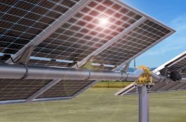 Sokolská uhelná investuje miliardy do projektů velkých pozemních solárů a batérii