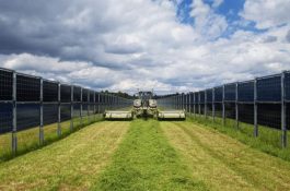 V Česku vznikne první velká agrivoltaická instalace. Jaké jsou výhody a nevýhody této technologie v praxi?