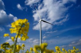 Francie novým zákonem zrychluje rozvoj obnovitelných zdrojů