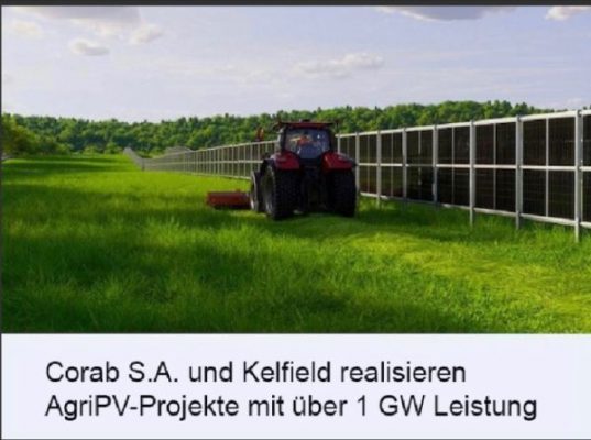 1000 MWp: V Polsku se rodí projekt největší agrivoltaické elektrárny na světě