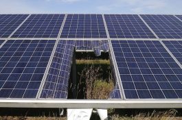 Proč riskujete, pokud jste si nepojistili solární panely?