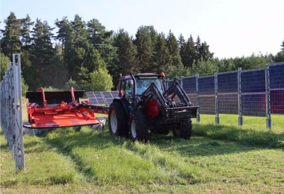 ČEZ letos zahájí výstavbu největší agrovoltaiky v Česku